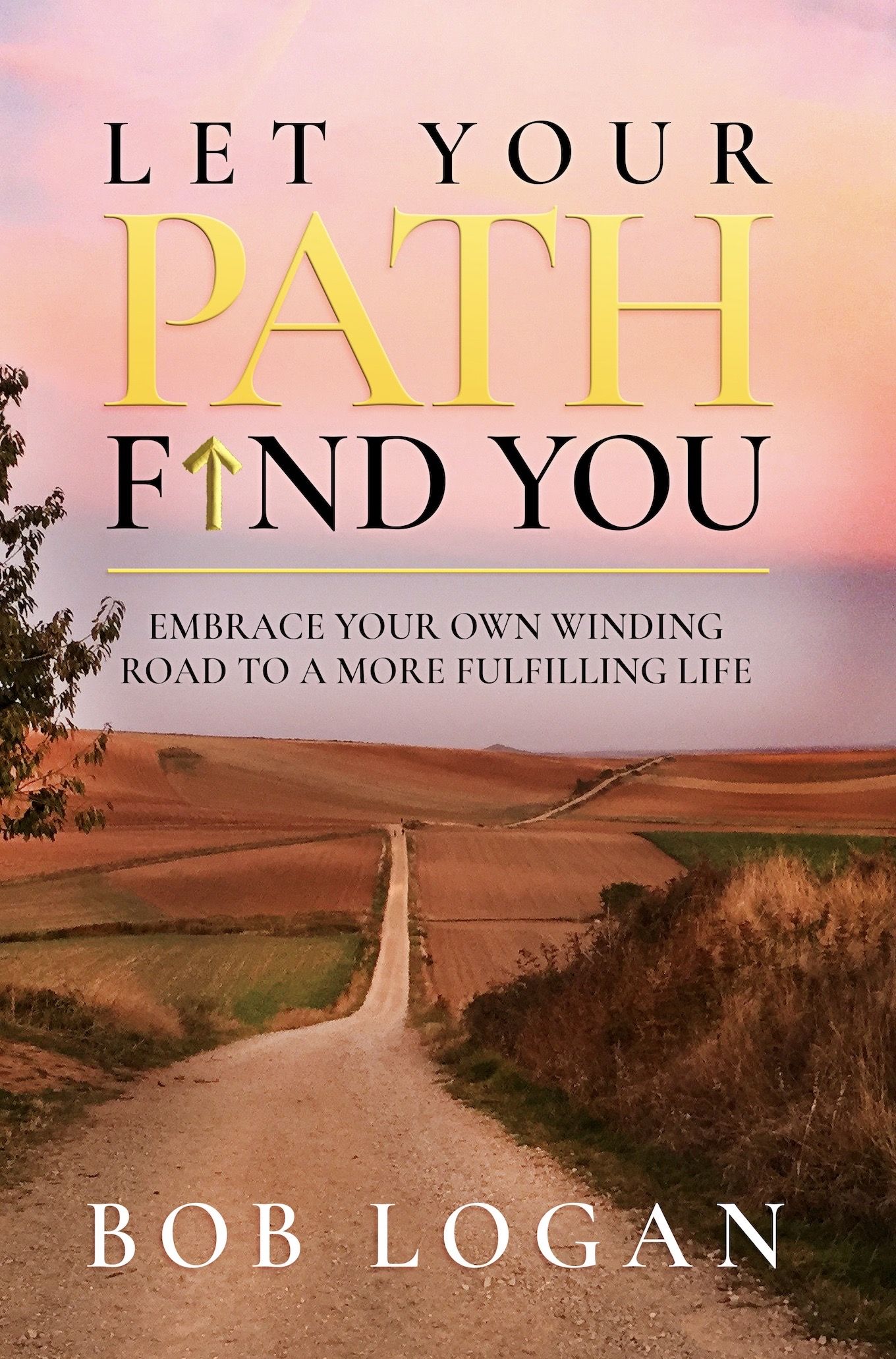 Motivational Speaker Business Consultant Bob Logan